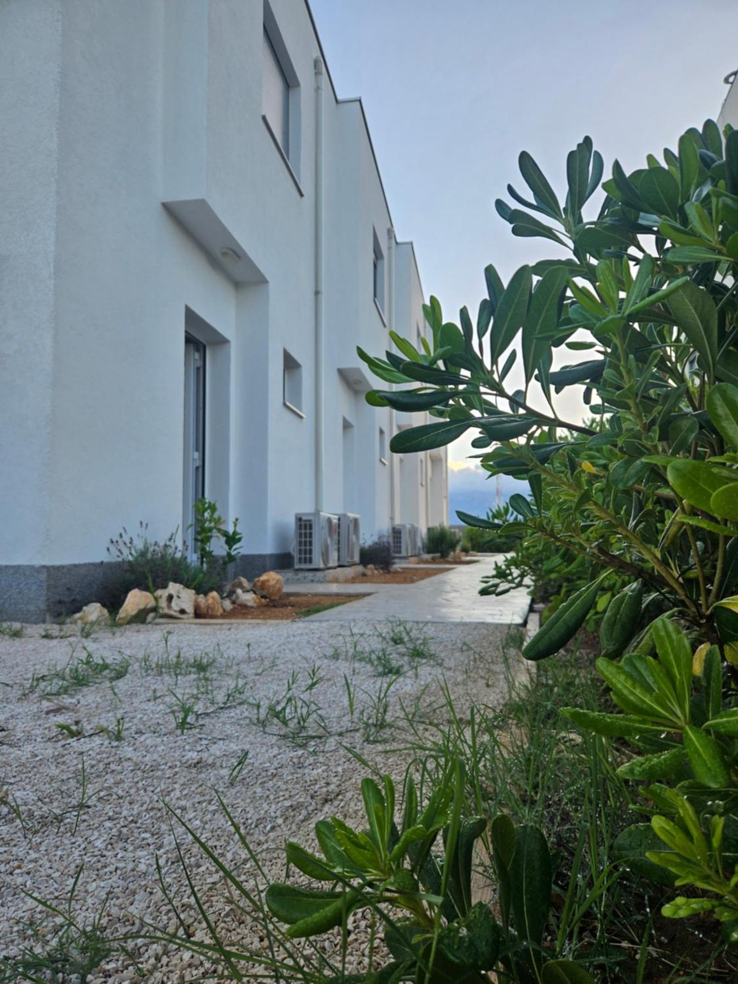 Bura House Villa Povljana Oda fotoğraf