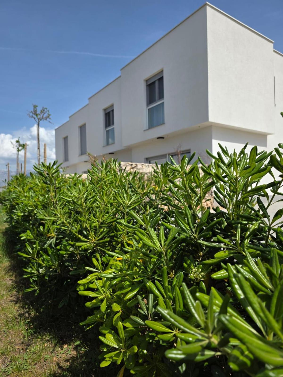 Bura House Villa Povljana Dış mekan fotoğraf